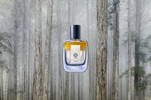 EAU ÉCLOSION HINOKI